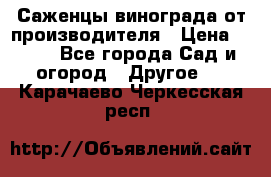 Саженцы винограда от производителя › Цена ­ 800 - Все города Сад и огород » Другое   . Карачаево-Черкесская респ.